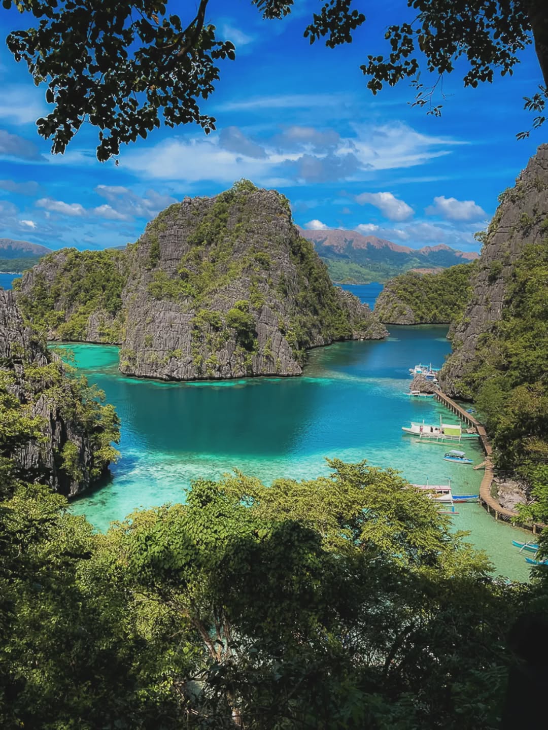 How to Get Internet Overseas Without Roaming (Australia Guide for 2026)